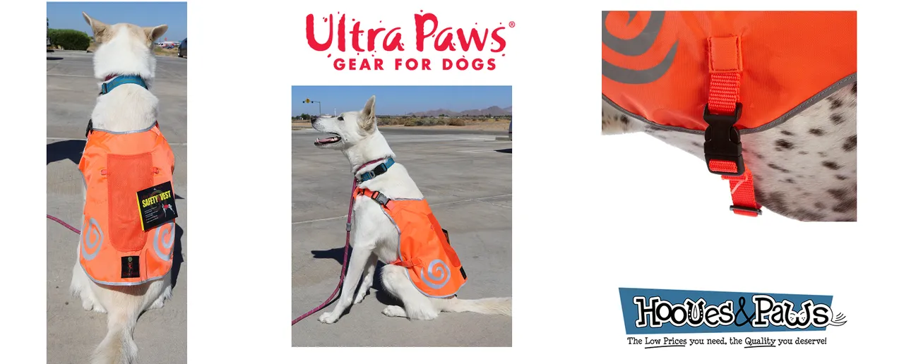 Dog Track Jacket High Visibility Reflective Dogs Adventure Gear Ultra Paws Orange Safety